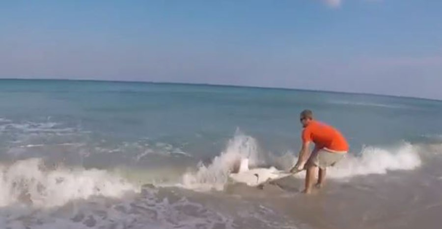 Αυτός θα κέρδιζε το… Survivor – ΒΙΝΤΕΟ