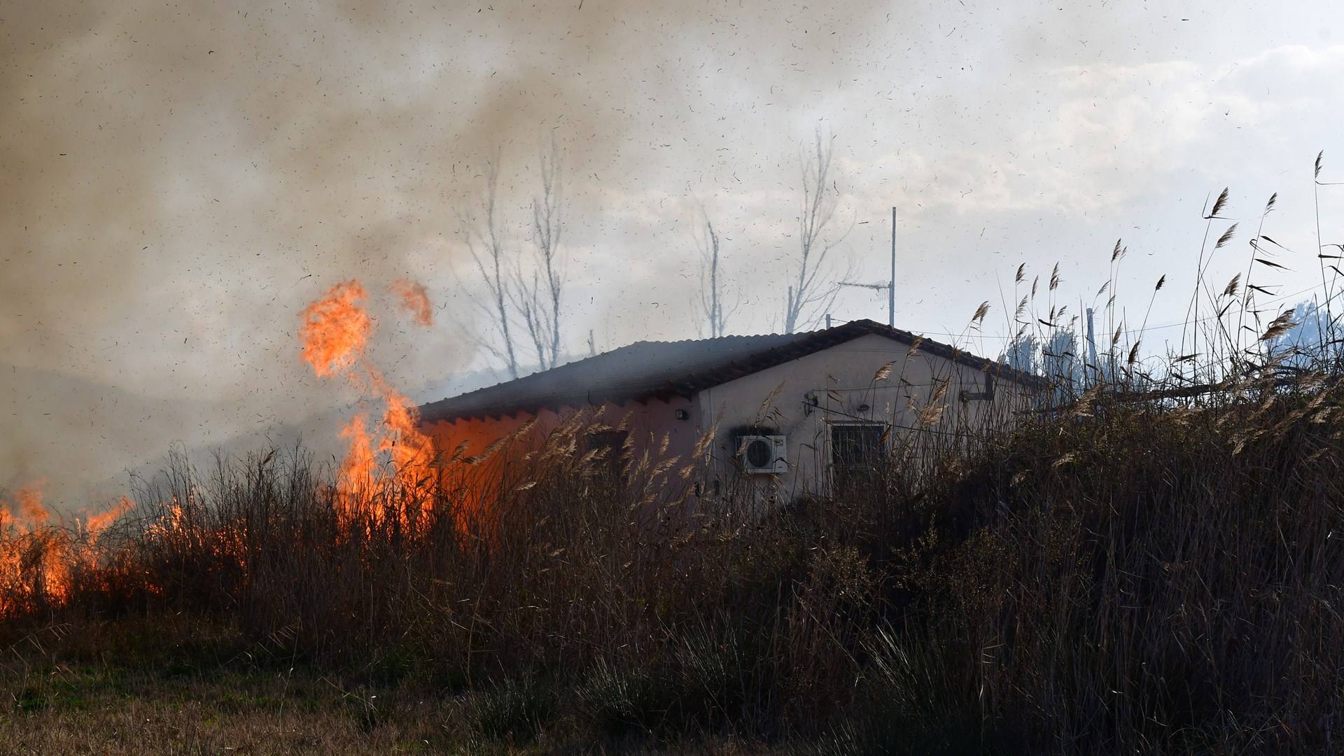 Μεγάλη πυρκαγιά στο Άργος – ΦΩΤΟ