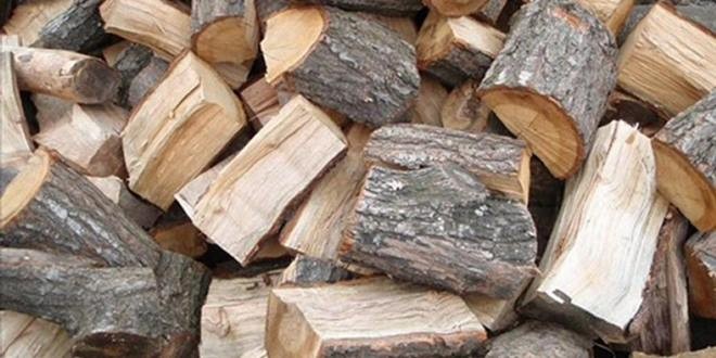 Έγινε κλέφτης για ένα σακί με ξύλα – ΒΙΝΤΕΟ