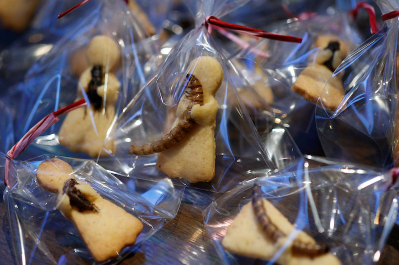 Οι Ιάπωνες θα γιορτάσουν τον Άγιο Βαλεντίνο με λιχουδιές από… έντομα – ΦΩΤΟ