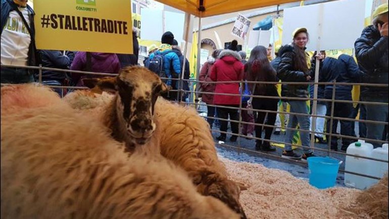 Διαδήλωσαν με πρόβατα έξω από το ιταλικό κοινοβούλιο – ΒΙΝΤΕΟ – ΦΩΤΟ