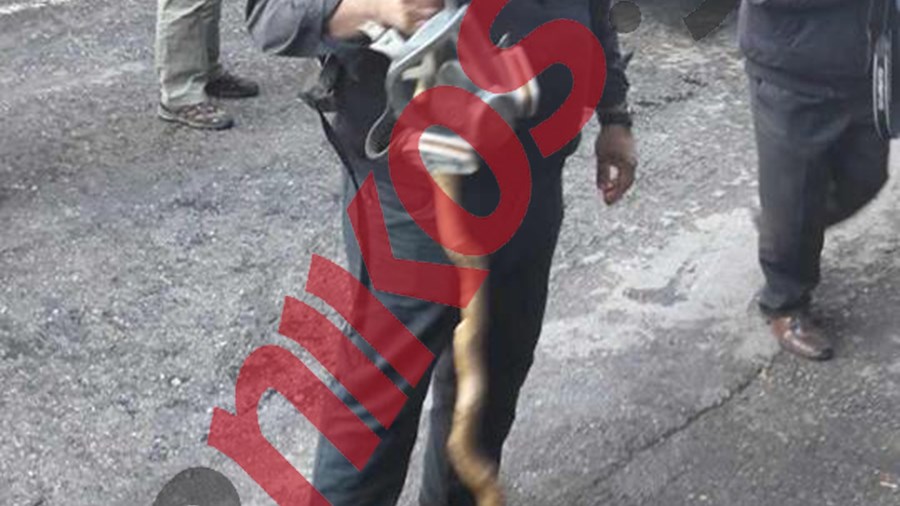 Με μαγκούρες και μάσκες στην πλατεία Βάθη οι αγρότες – ΦΩΤΟ – ΤΩΡΑ