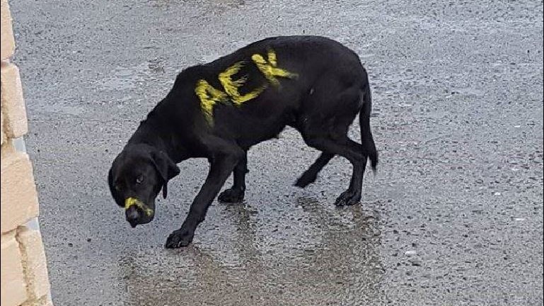 Οργή από χιλιάδες κόσμου στα social media