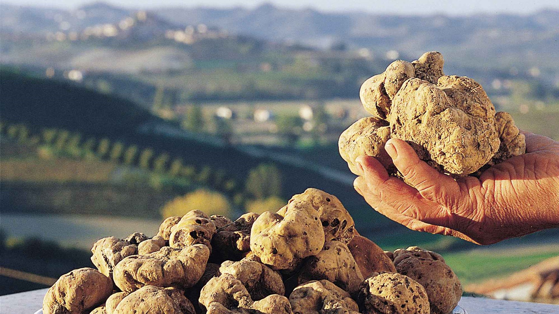 Αυτά είναι τα 10 πιο ακριβά φαγητά στον κόσμο