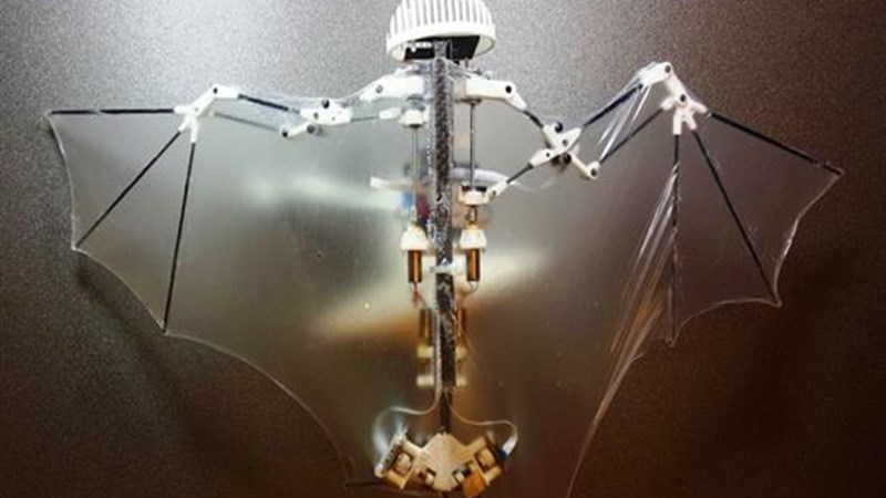 Δημιουργήθηκε το πρώτο ρομπότ-νυχτερίδα
