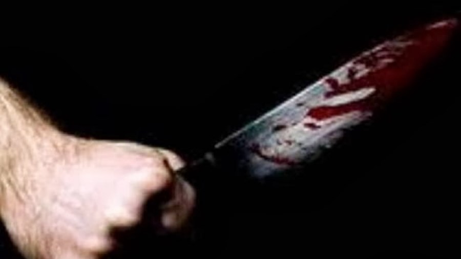 Μαχαίρωσε τη θεία του και αυτοτραυματίστηκε