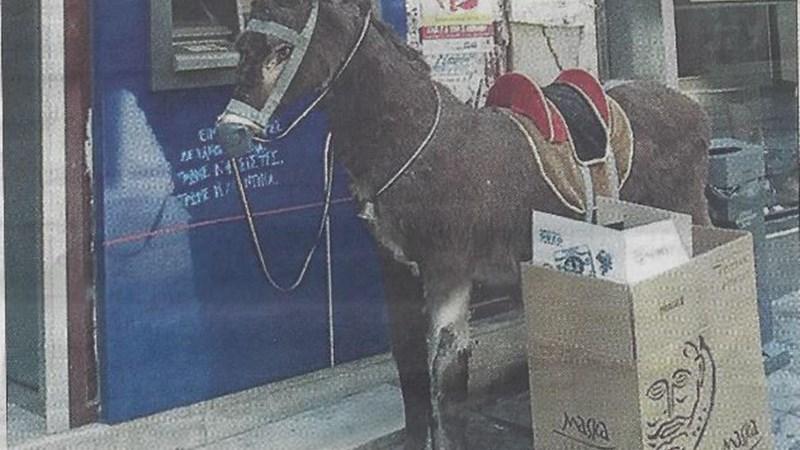 Ο πιο ασυνήθιστος “πελάτης” στην ουρά του ΑΤΜ – ΦΩΤΟ