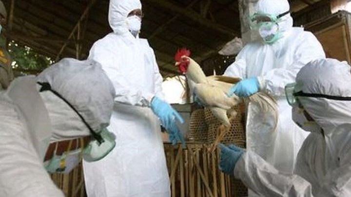 Κρούσμα γρίπης των πτηνών σε μονάδα πουλερικών στην Κοζάνη