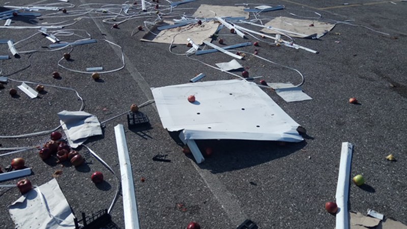 Πιάστηκαν στα χέρια στην ουρά για δωρεάν φρούτα – ΦΩΤΟ