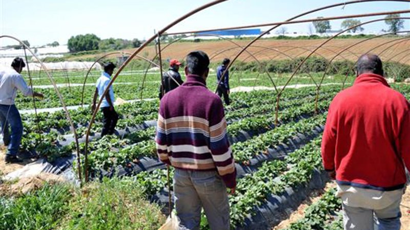 Καταδίκη-κόλαφος της Ελλάδας από το ευρωπαϊκό Δικαστήριο για την υπόθεση της Μανωλάδας