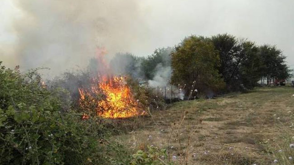 Φωτιά σήκωσε στο «πόδι» την Πυροσβεστική