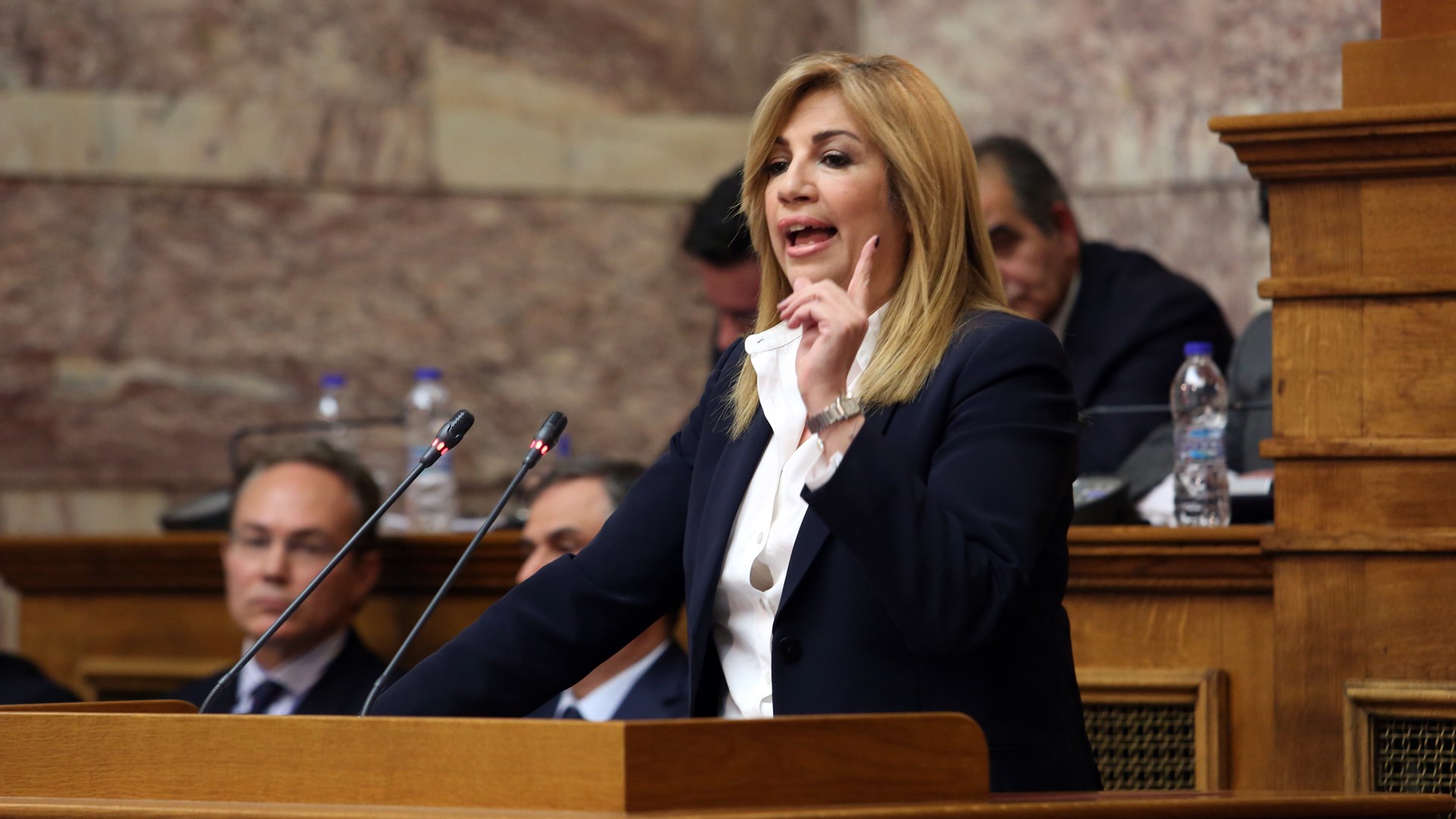 Τρεις προτάσεις για τα “κόκκινα” επιχειρηματικά δάνεια από την Γεννηματά