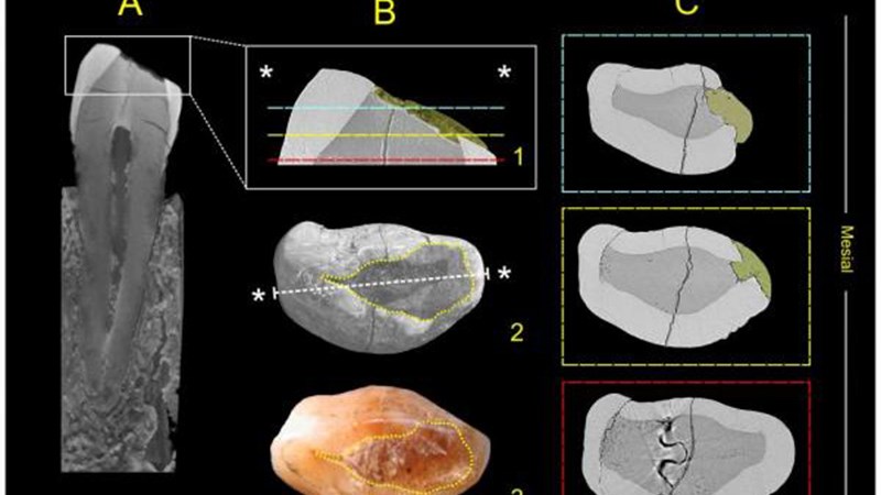 Οι άνθρωποι έκαναν σφραγίσματα πριν από… 13.000 χρόνια
