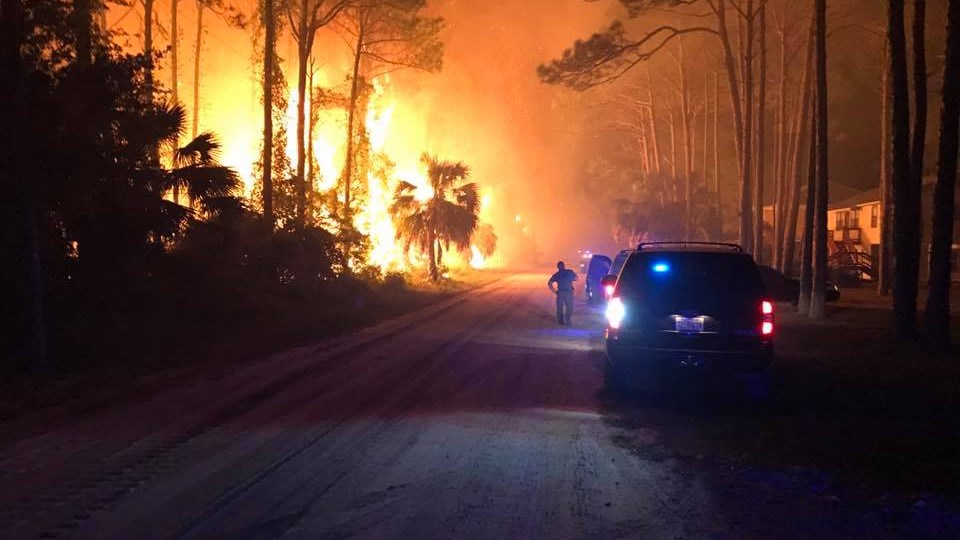 ΗΠΑ: Πυρκαγιές έχουν μετατρέψει σε στάχτη 80.000 στρέμματα στη Φλόριντα – ΒΙΝΤΕΟ ΚΑΙ ΦΩΤΟ