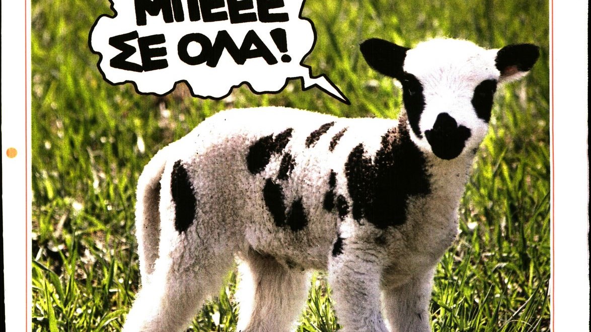 Το Ποντίκι σήμερα 12/4/2017