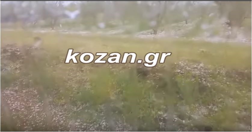 Xαλάζι σε μέγεθος φουντουκιού στην Κοζάνη – ΒΙΝΤΕΟ