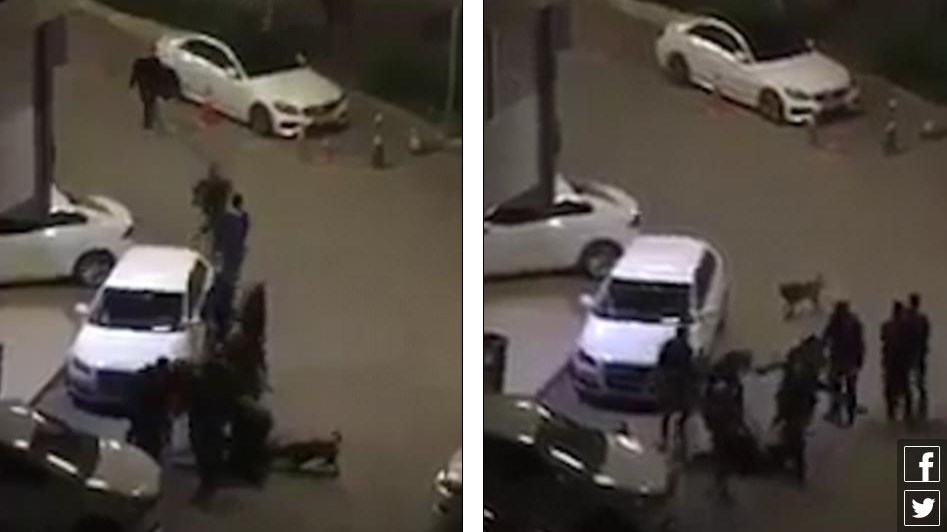 Τουρκία: Οπαδοί του Ερντογάν έδειραν διαδηλωτές που ψήφισαν “όχι” στο δημοψήφισμα – ΒΙΝΤΕΟ