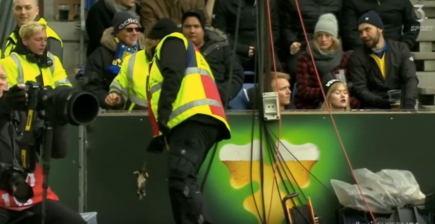 Πέταξαν νεκρά ποντίκια σε ποδοσφαιριστή κατά τη διάρκεια του αγώνα – ΒΙΝΤΕΟ