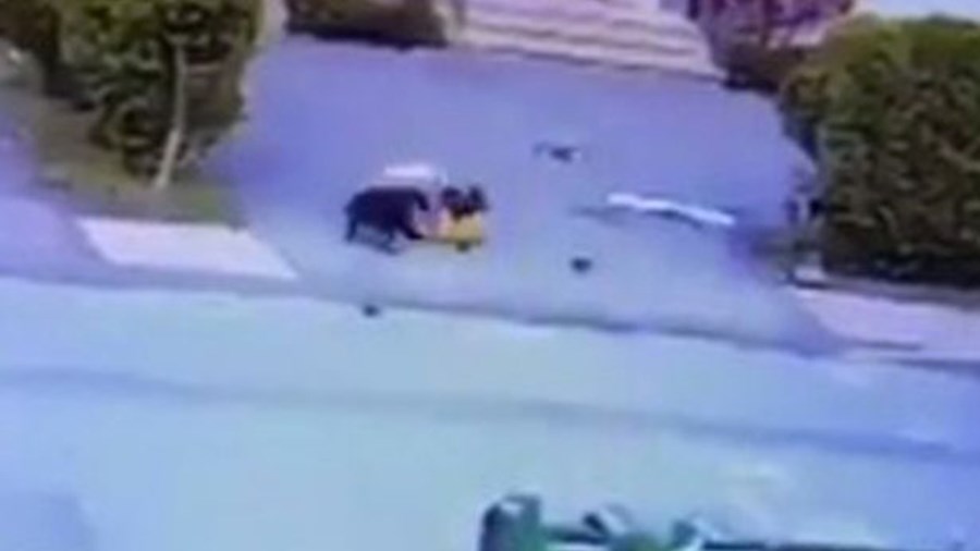 Ανατριχιαστική επίθεση πιτ-μπουλ σε 3χρονο αγοράκι – ΒΙΝΤΕΟ – Σκληρές εικόνες