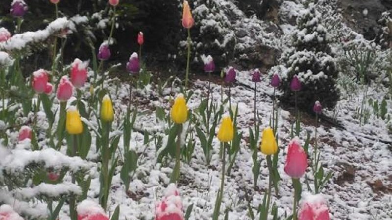 Χιονίζει στα Καλάβρυτα – ΦΩΤΟ