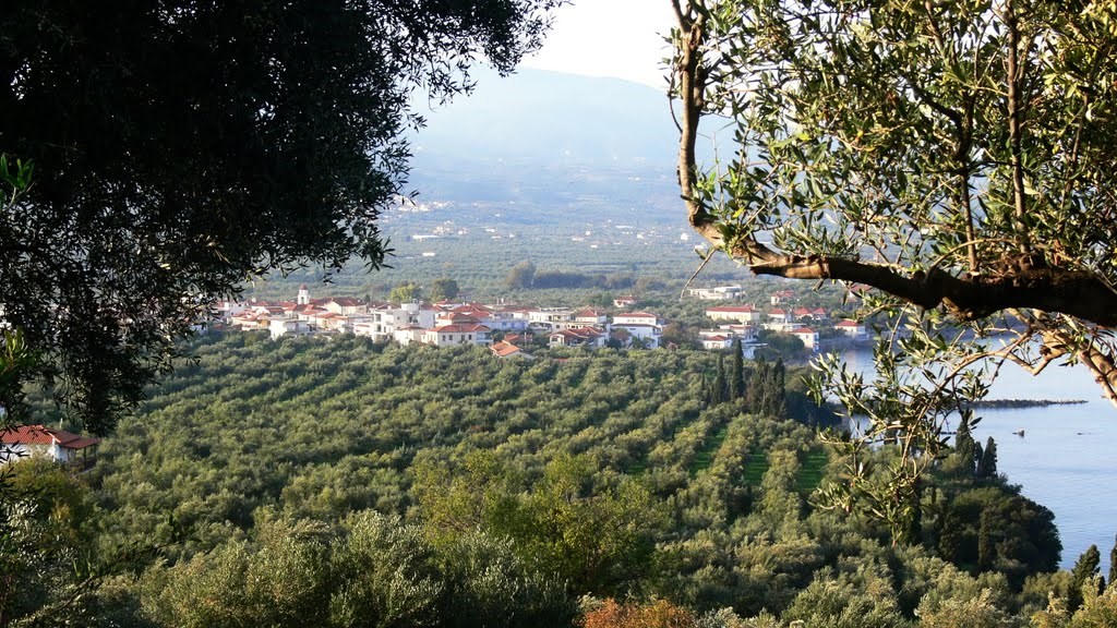 40 πρόσφυγες εντοπίστηκαν σε αγρόκτημα στη Μεσσηνία