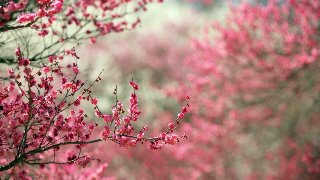 Ανοιξιάτικος καιρός – Στους 23 βαθμούς η θερμοκρασία