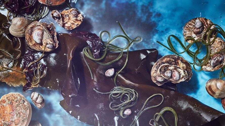 Τι θα τρώμε σε περίπτωση κλιματικής αλλαγής; – ΦΩΤΟ