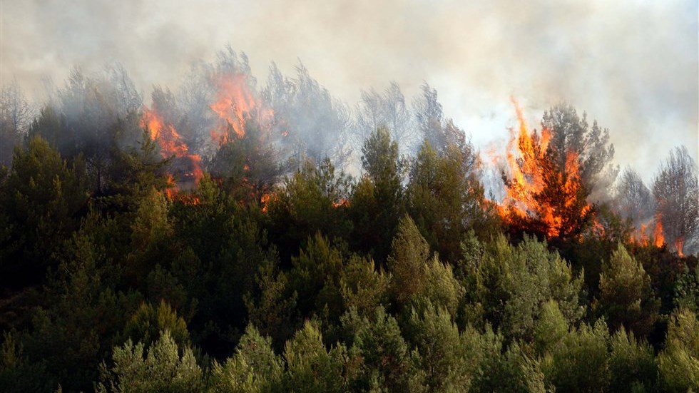 Φωτιά στη Ζάκυνθο – ΤΩΡΑ
