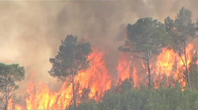 Πυρκαγιά σε δασική έκταση στα Χανιά