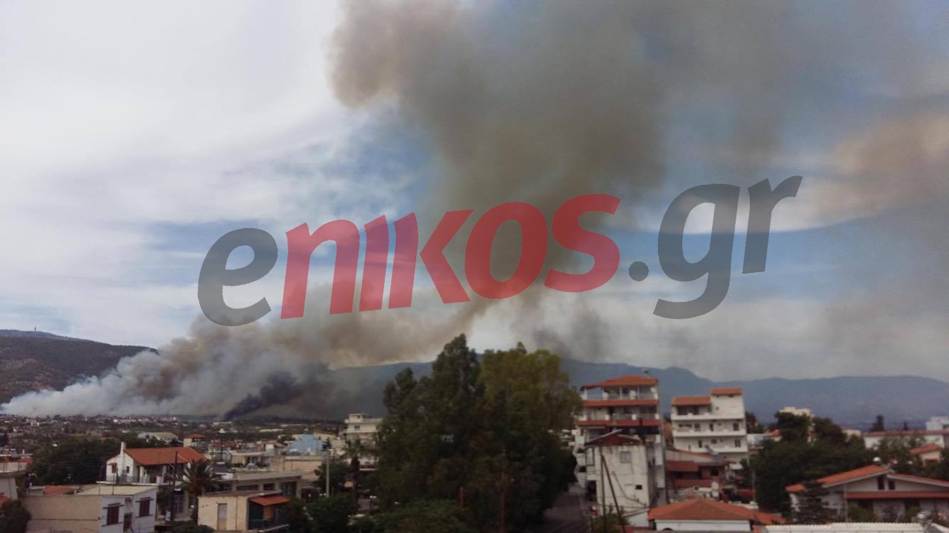 Μία σύλληψη για την πυρκαγιά στους Αγίους Θεοδώρους