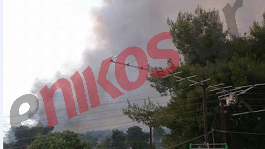 Ενισχύθηκαν οι δυνάμεις της Πυροσβεστικής στους Αγίους Θεοδώρους