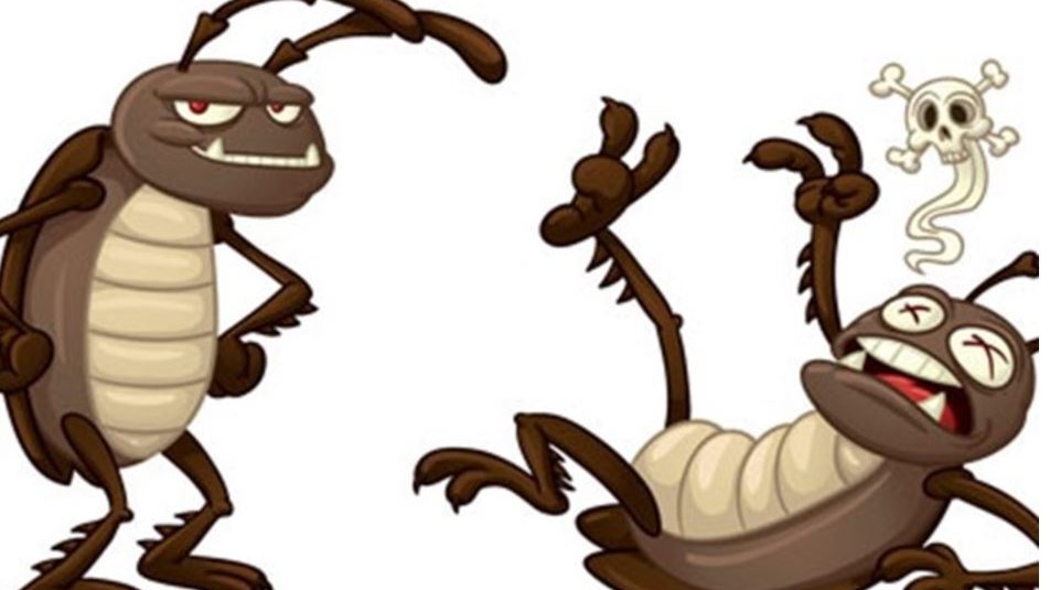 Η μυρωδιά που δεν αντέχουν με τίποτα οι κατσαρίδες και τα μυρμήγκια