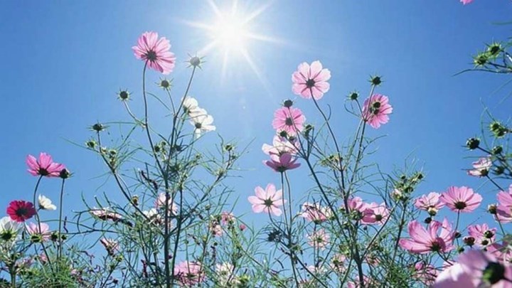 Αίθριος ο καιρός σήμερα – Η αναλυτική πρόγνωση