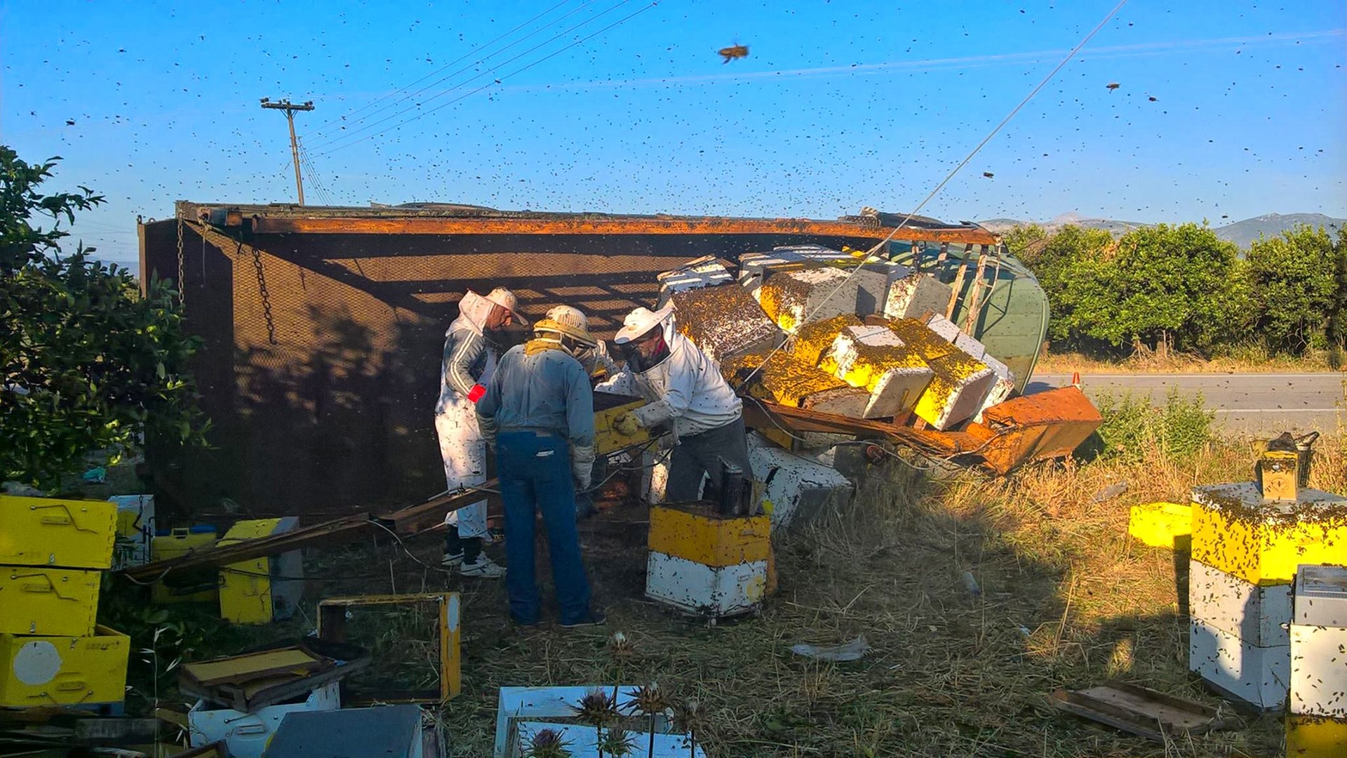 Γέμισε με… μέλισσες ο δρόμος έπειτα από τροχαίο – ΦΩΤΟ