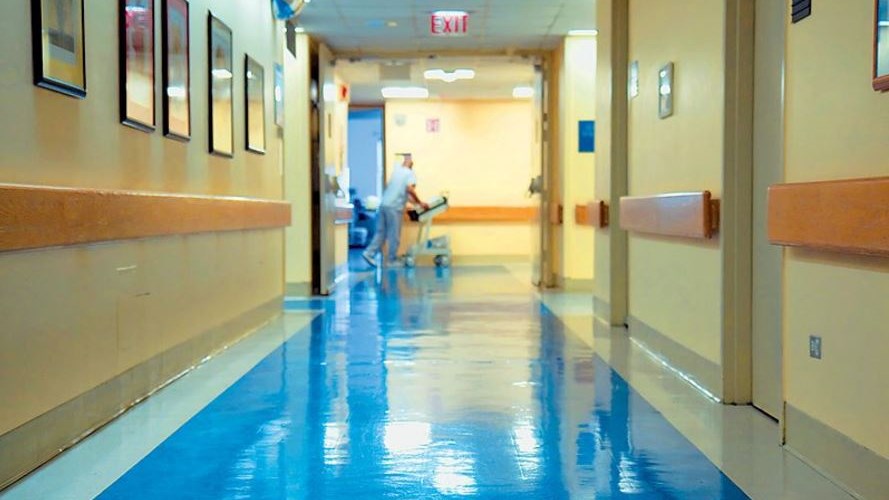 Κρίσιμες ώρες για 8χρονο κοριτσάκι έπειτα από δάγκωμα φιδιού