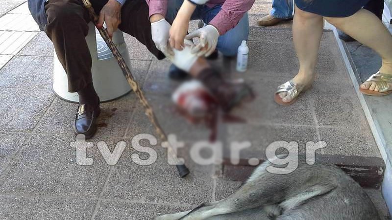 Άγρια επίθεση σκύλου σε ηλικιωμένο – ΒΙΝΤΕΟ – ΦΩΤΟ