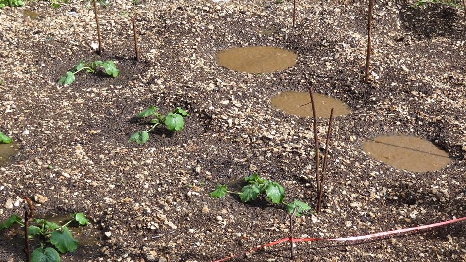 Σφοδρή χαλαζόπτωση στον νομό Ιωαννίνων – ΒΙΝΤΕΟ – ΦΩΤΟ