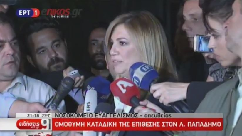 Γεννηματά: Ήταν χτύπημα στην ίδια την κοινωνία – ΒΙΝΤΕΟ