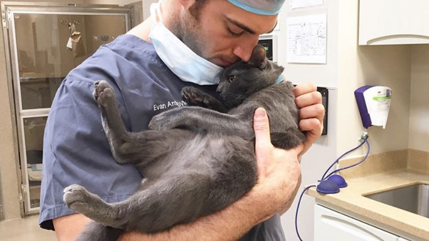 Αυτή είναι η πιο τρυφερή δουλειά στον κόσμο – ΦΩΤΟ