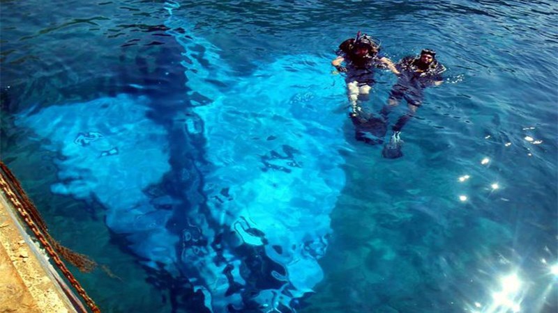 Οι “υποβρύχιοι κομάντος” της ΠΑ έτοιμοι να ανελκύσουν το Mirage 2000 – ΦΩΤΟ – ΒΙΝΤΕΟ