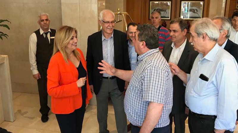 Η… απρόβλεπτη ατάκα Λαρισαίου κτηνοτρόφου στη Φώφη Γεννηματά