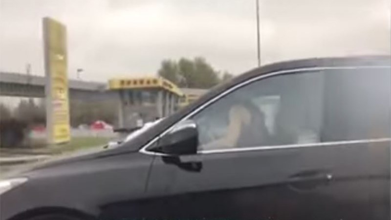 Ασυγκράτητο ζευγάρι προκάλεσε… πανικό σε εθνική οδό – ΒΙΝΤΕΟ