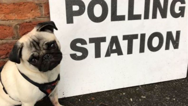 Οι Βρετανοί πήγαν να ψηφίσουν μαζί… με τα σκυλιά τους – ΦΩΤΟ