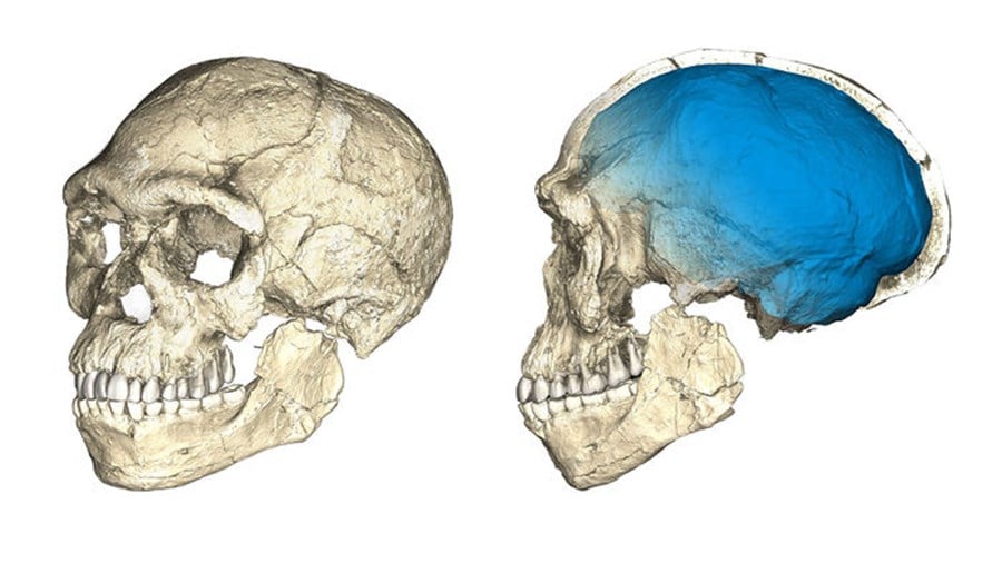 Ανακαλύφθηκαν τα παλαιότερα απολιθώματα του Homo sapiens