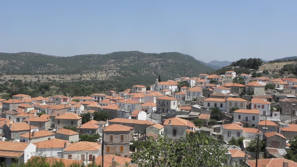 Μεγάλη κινητοποίηση της πυροσβεστικής στη Βρίσα της Λέσβου – ΤΩΡΑ