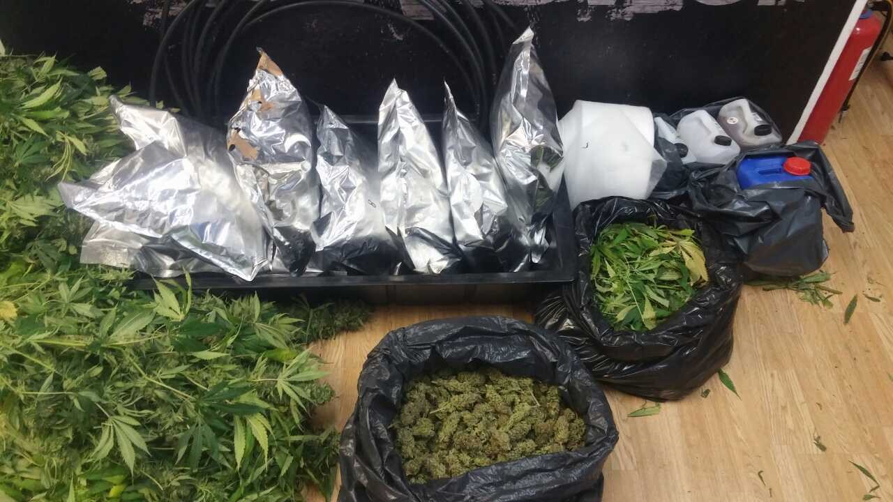 Σε εξέλιξη αστυνομική επιχείρηση για την εξάρθρωση κυκλωμάτων ναρκωτικών – 25 συλλήψεις – ΦΩΤΟ