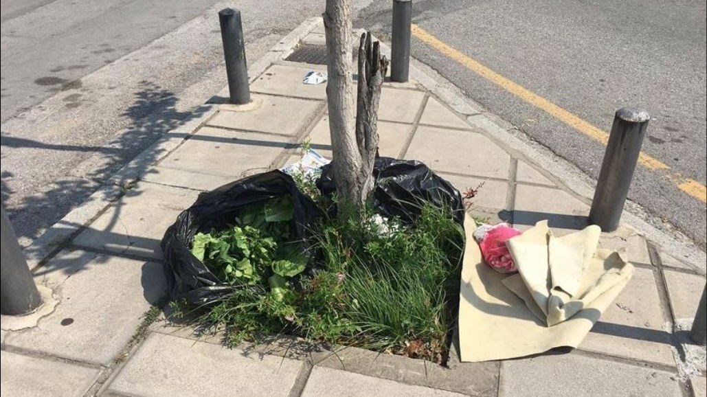 Σακούλες με…μαρούλια αναστάτωσαν την ΕΛΑΣ – ΦΩΤΟ