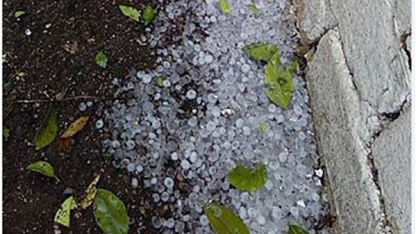 Θεομηνία στο Άργος – Χαλαζόπτωση και πτώσεις δέντρων – ΒΙΝΤΕΟ – ΦΩΤΟ