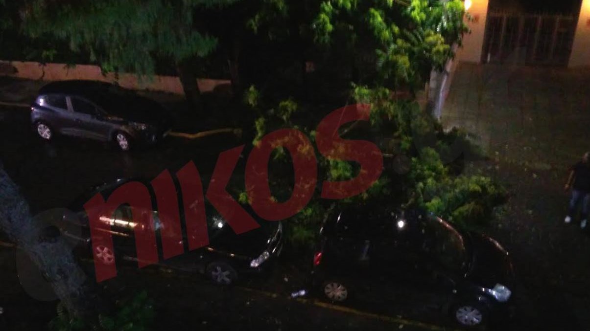 Έπεσε δέντρο στο Μαρούσι – Έκλεισε ο δρόμος –  ΦΩΤΟ αναγνώστη – TΩΡΑ
