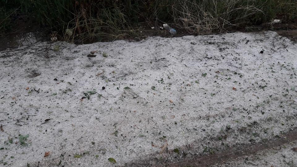 Μεγάλες καταστροφές από τη χαλαζόπτωση στην Αργολίδα – ΦΩΤΟ – ΒΙΝΤΕΟ